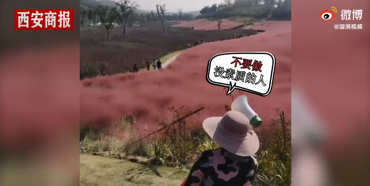 热点|“进入花田你没有花美！”景区一段硬核喊话爆火，网友：你大妈还是你大妈