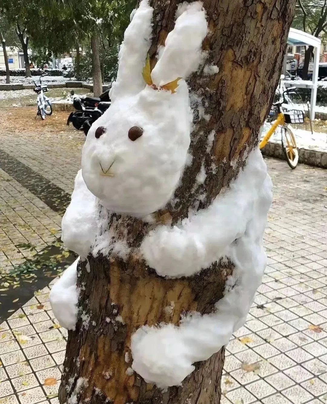 各种雪人图片大全图片