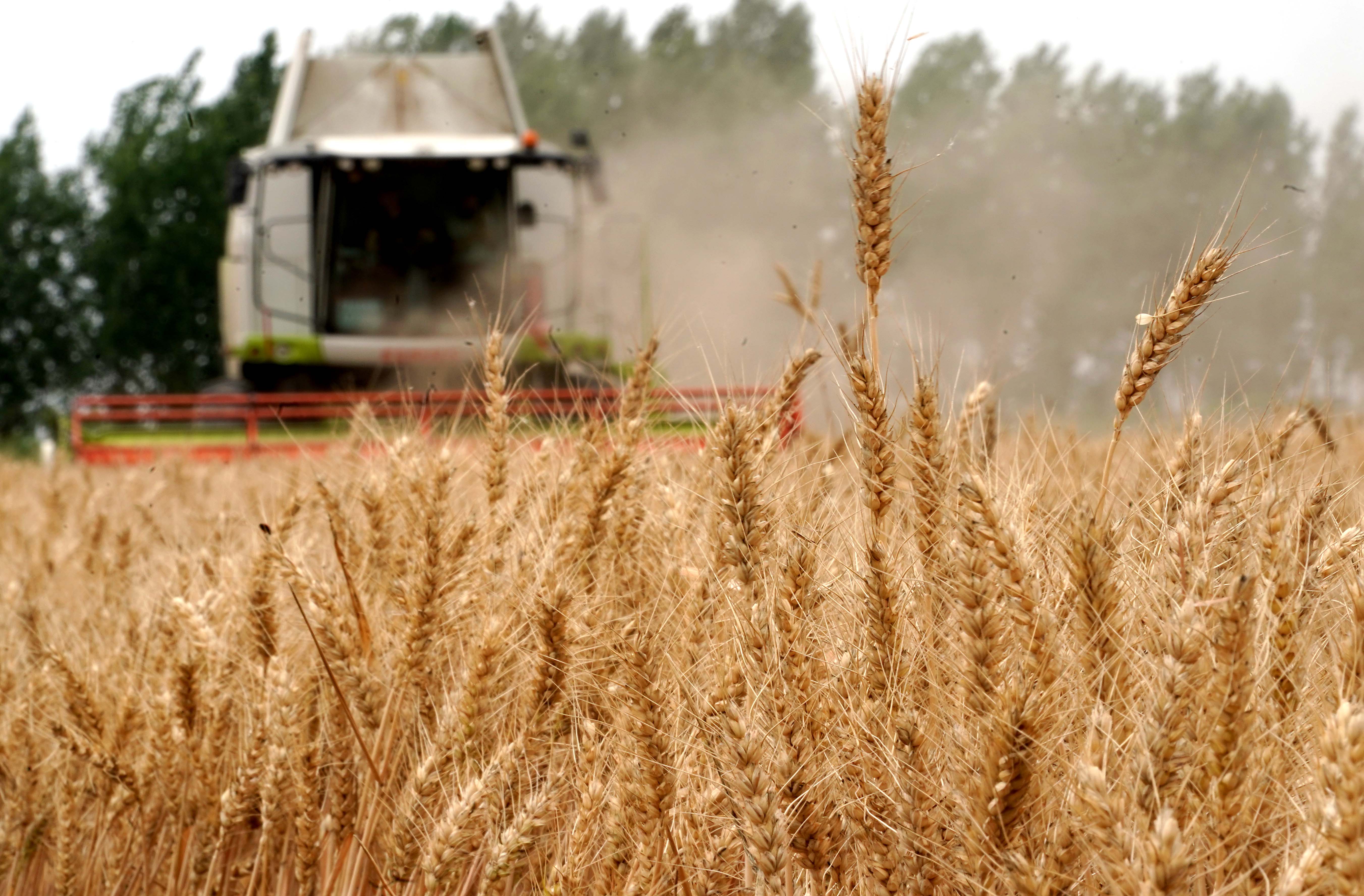 收获,在希望的田野上——写在2021年中国农民丰收节(2)