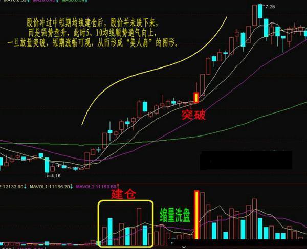 美人肩形态图片