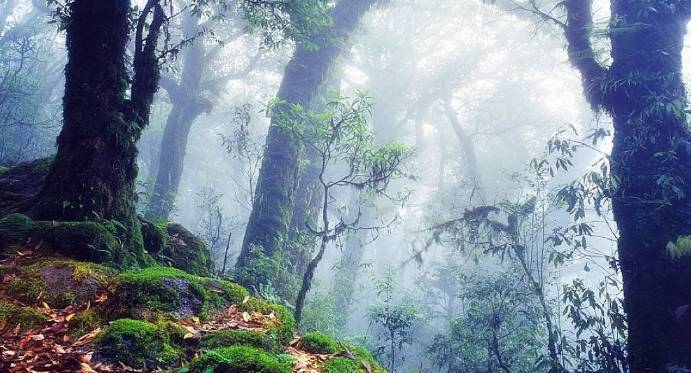 哀牢山遇难人员丢弃雨衣,死前面带微笑真相了 哀牢山还有这传说