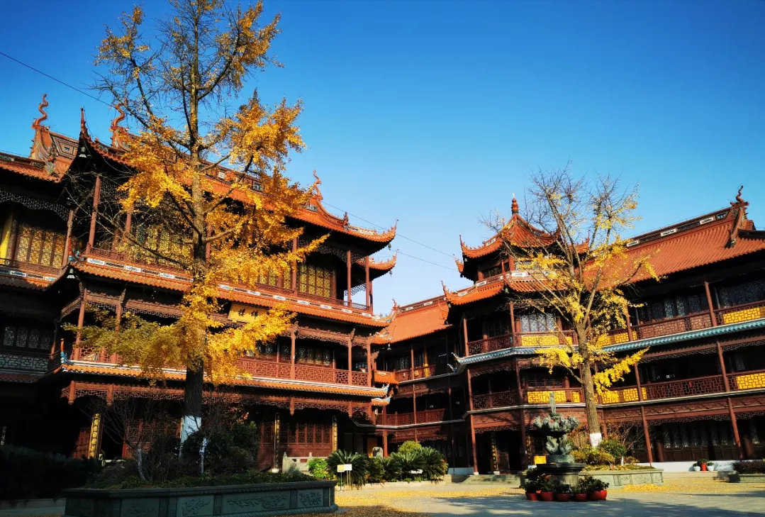 访古上海奉贤|奉城老街,古时比七宝人气旺,现今却鲜有人知