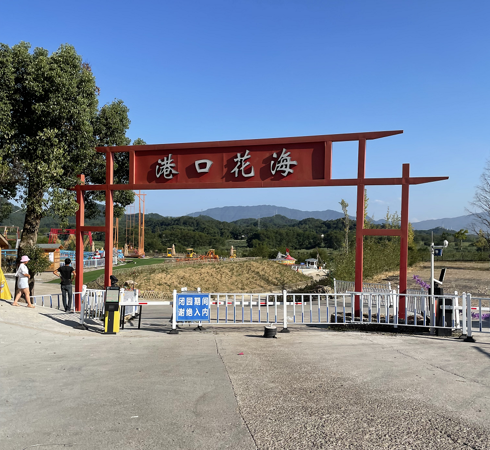 浙江丽水,城郊藏着百亩粉色花海,美出圈了,扰乱少女心?