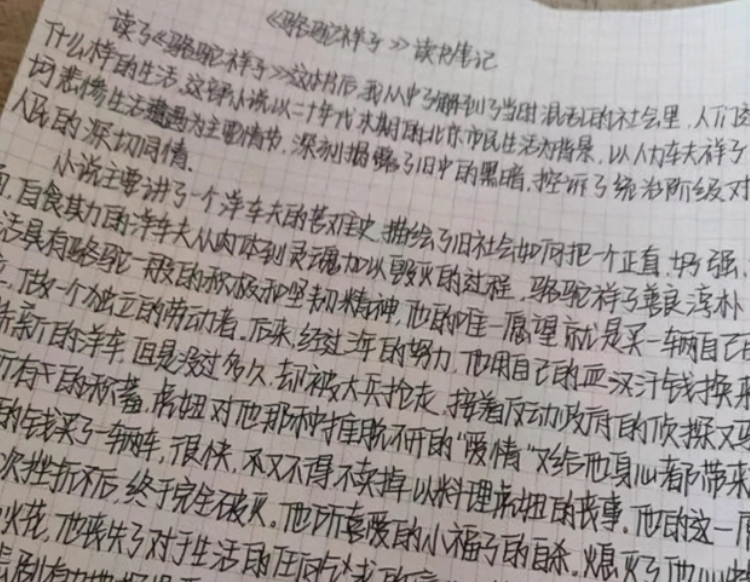 学生自创"栅栏"字体走红,字体笔画全是直的的,老师看后频摇头