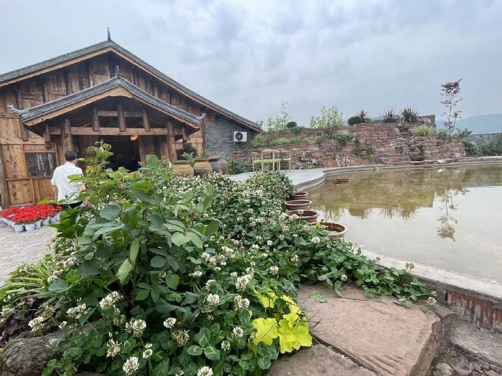 成都仁寿商会到仁寿曹家镇万亩梨园考察调研