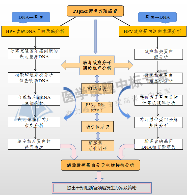 叮!國自然熱點技術路線模板 醫學部3800份中標標書目錄|aier福利