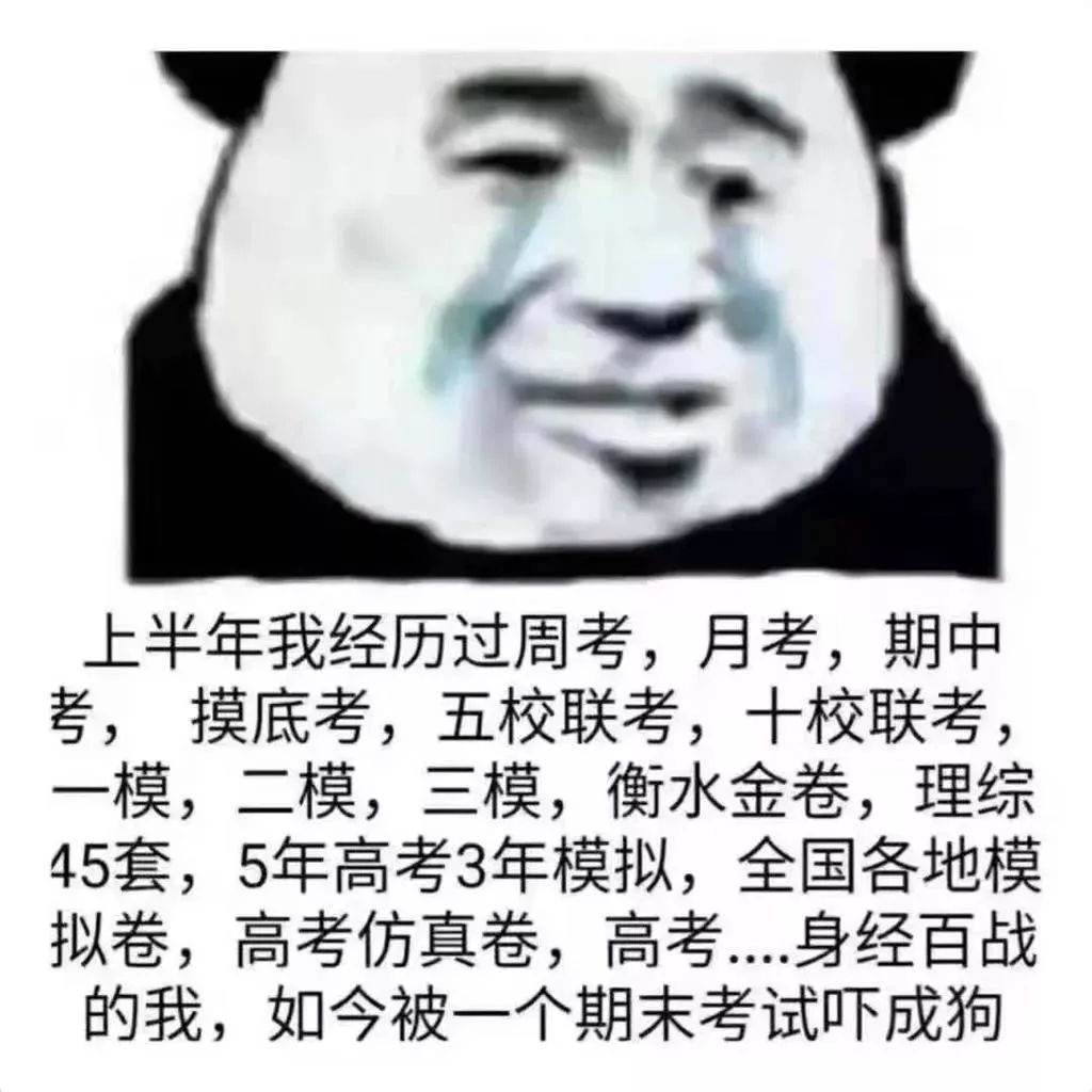 大学老师说期末及格就行,学生瑟瑟发抖,及格毁掉了我多少温柔