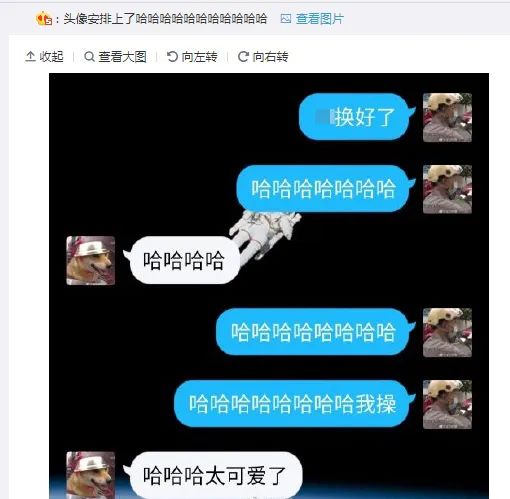 推荐为了骑行安全,连狗狗都戴头盔了!表情包火遍全网,网友:太可爱