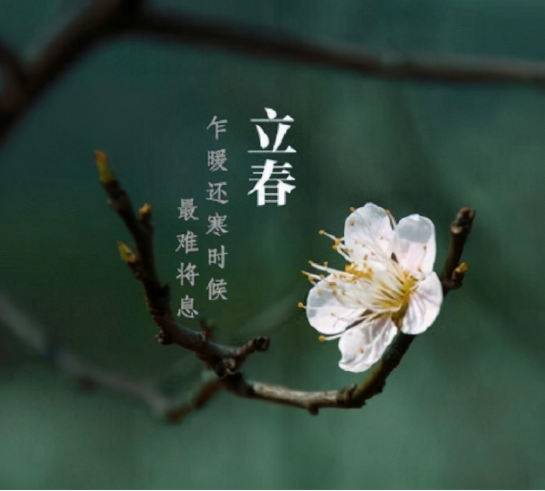 农村俗语"春打五九尾,吃油像喝水"啥意思?明年啥时候立春?