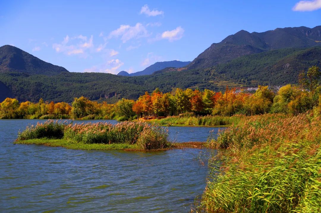 赶紧去打卡!深秋的中济海美得不像话
