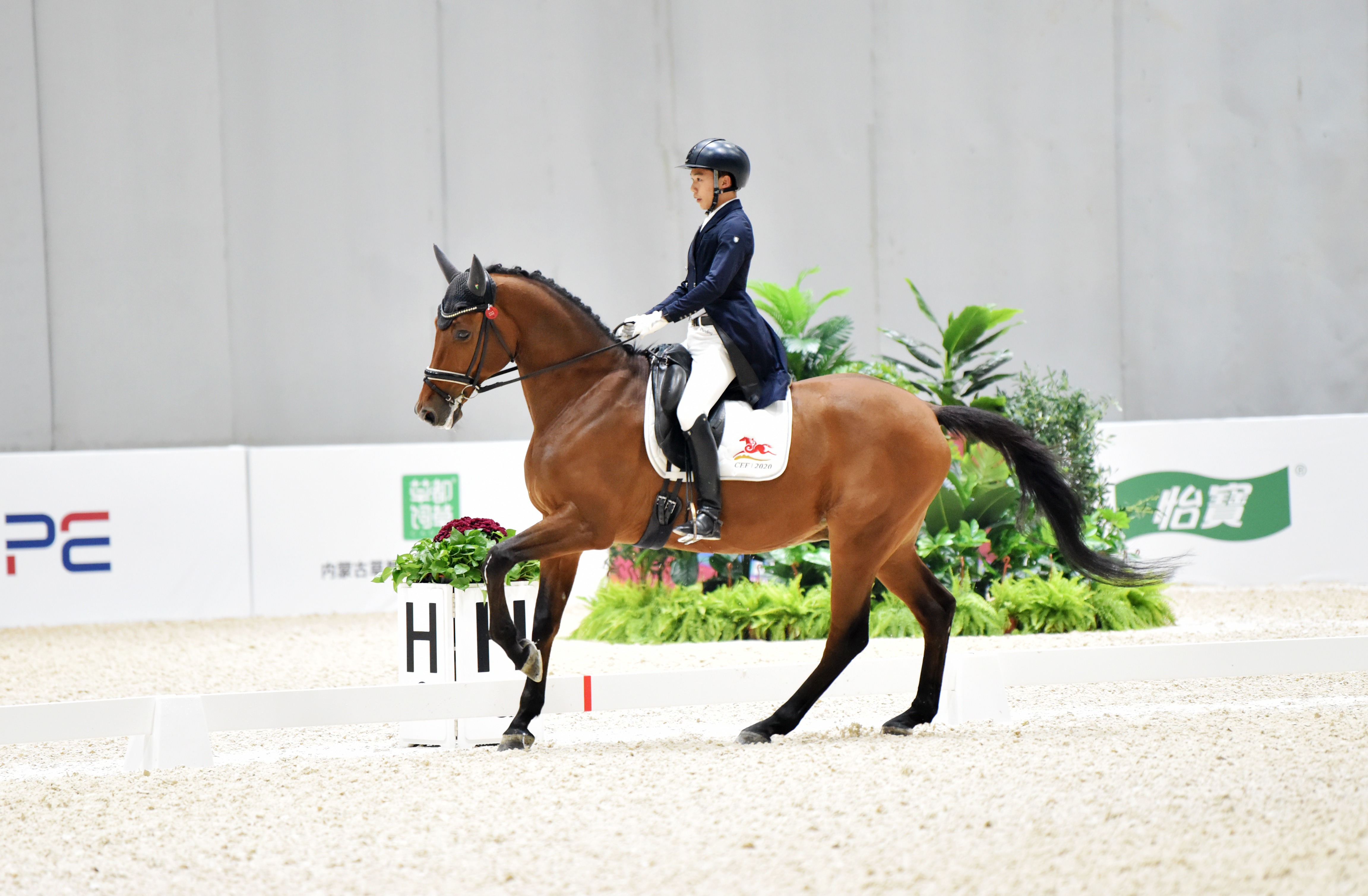 马术——中国马术盛装舞步冠军杯赛赛况(5)