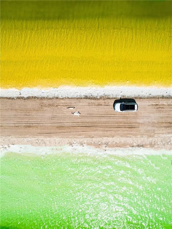 "消夏"景点正火爆,走着瞧旅行退款保障西北游无忧出行