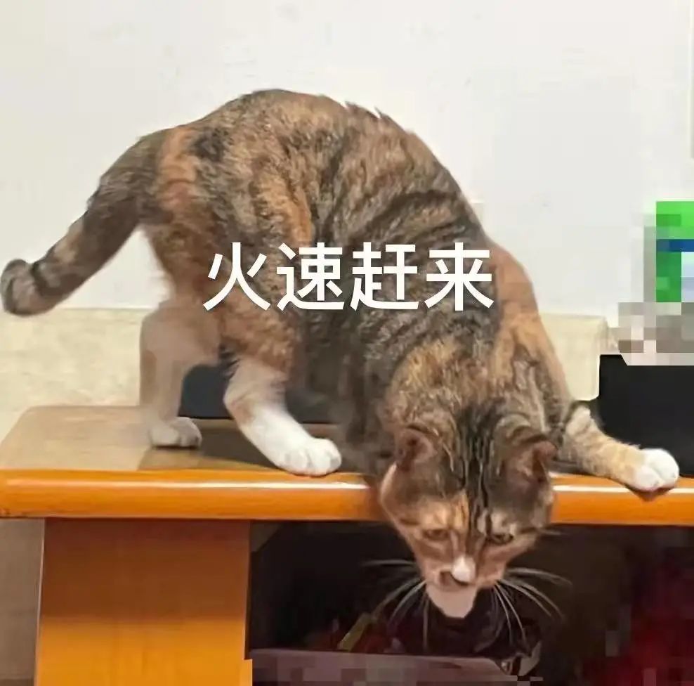 线上就能办西安养老金认证流程来了入口戳