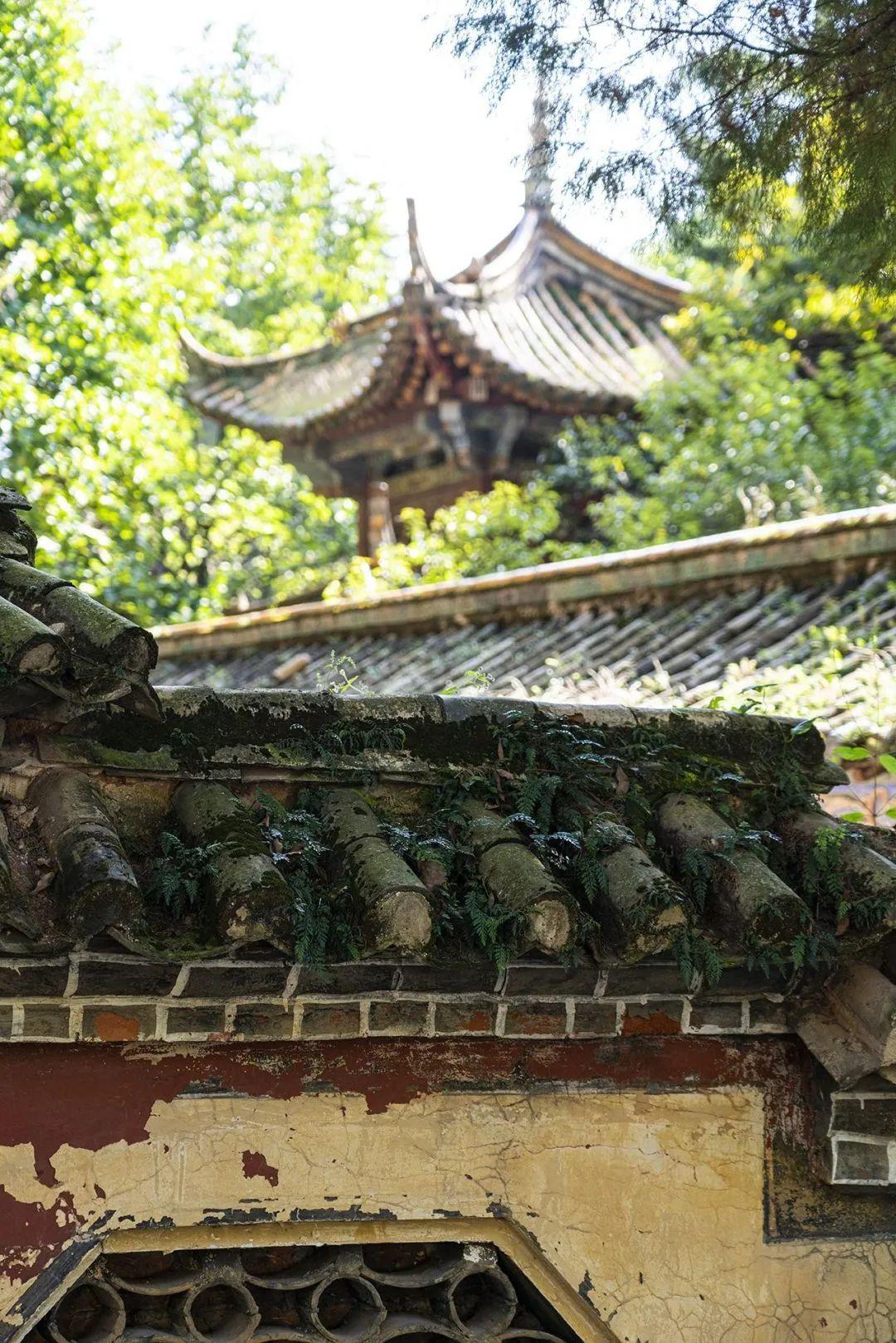 乐享云南|美景·昆明昙华寺公园