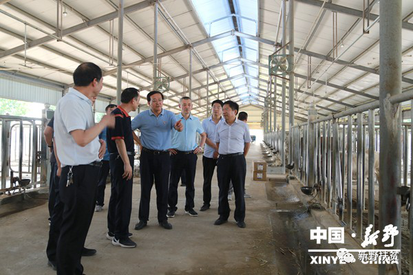 市委副书记曾垂瑞督导调研新野脱贫攻坚工作