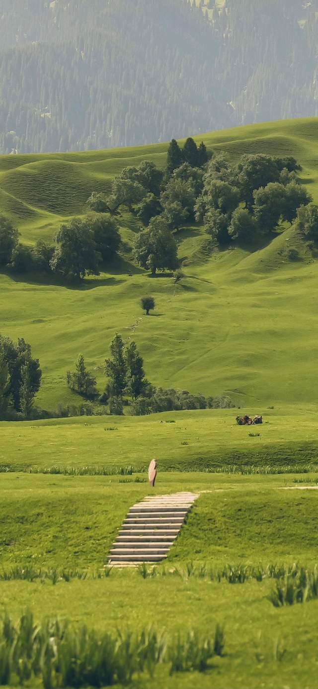 一看就舒心的手机壁纸图片