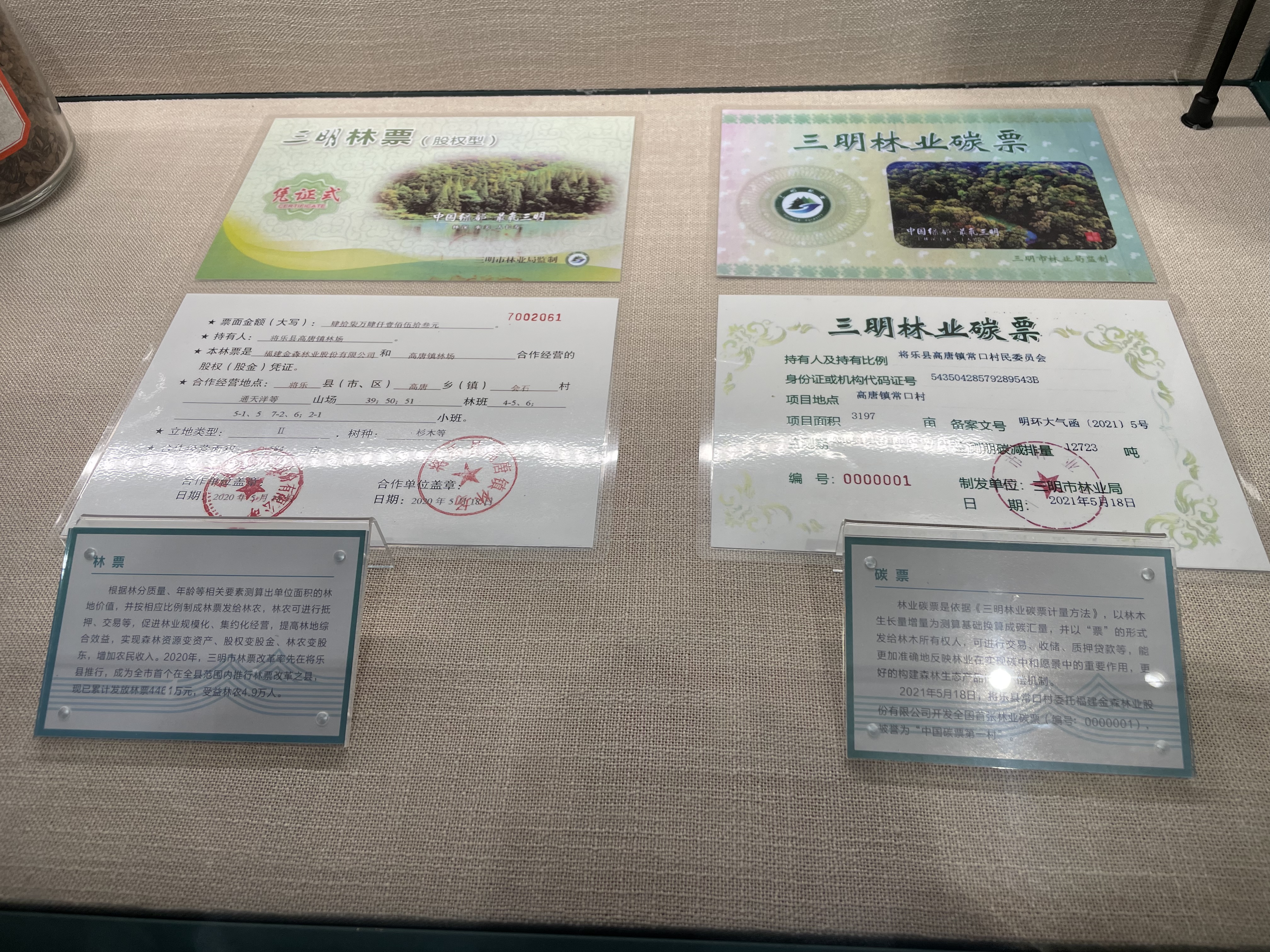 福建三明熊出没!和上海有什么关系?