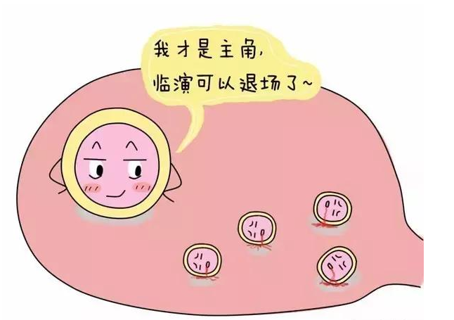 生男生女原來是一道小學應用題?