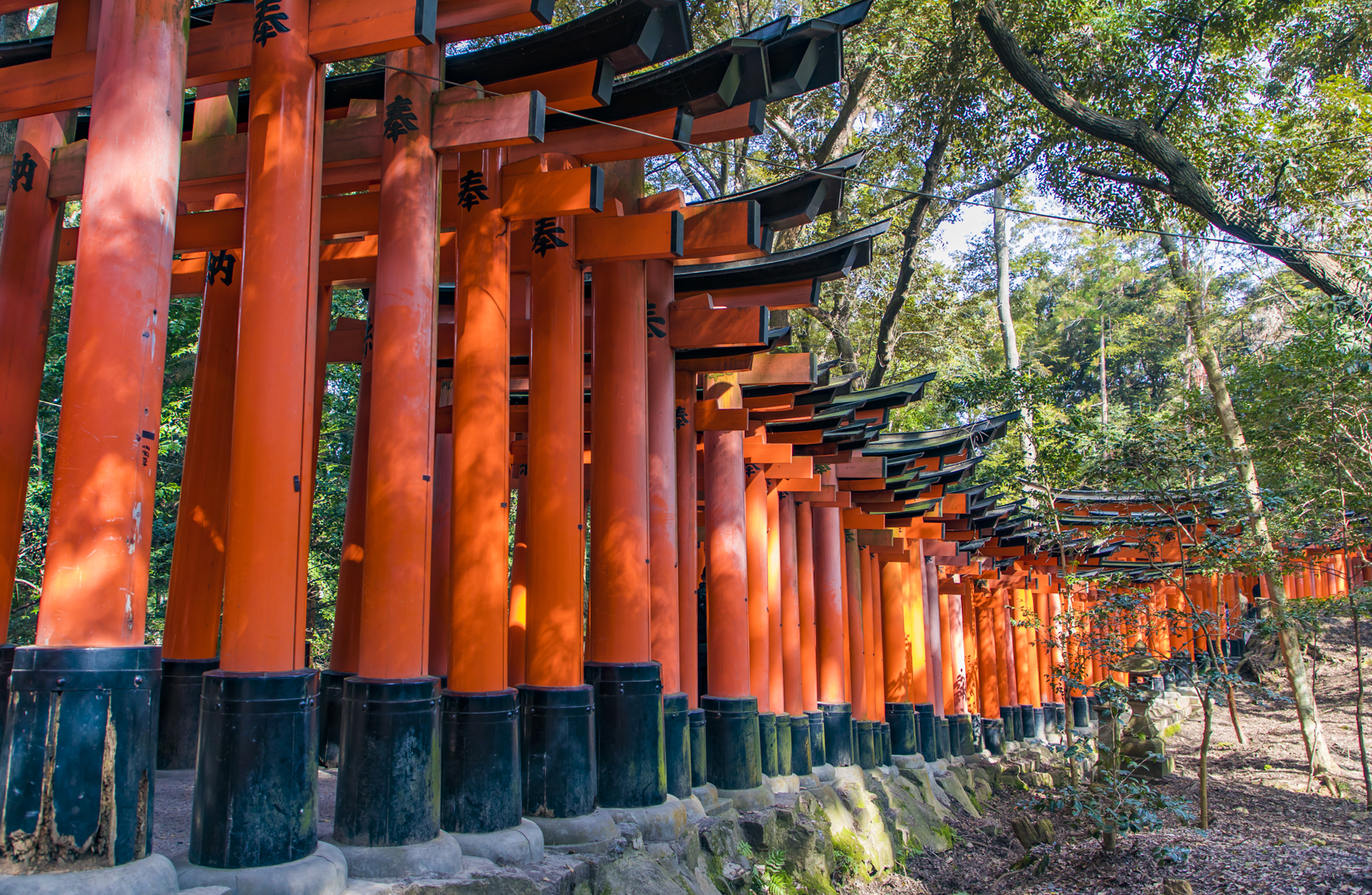 日本最惊艳的景点,京都千本鸟居,上万座红色鸟居连结成时光隧道