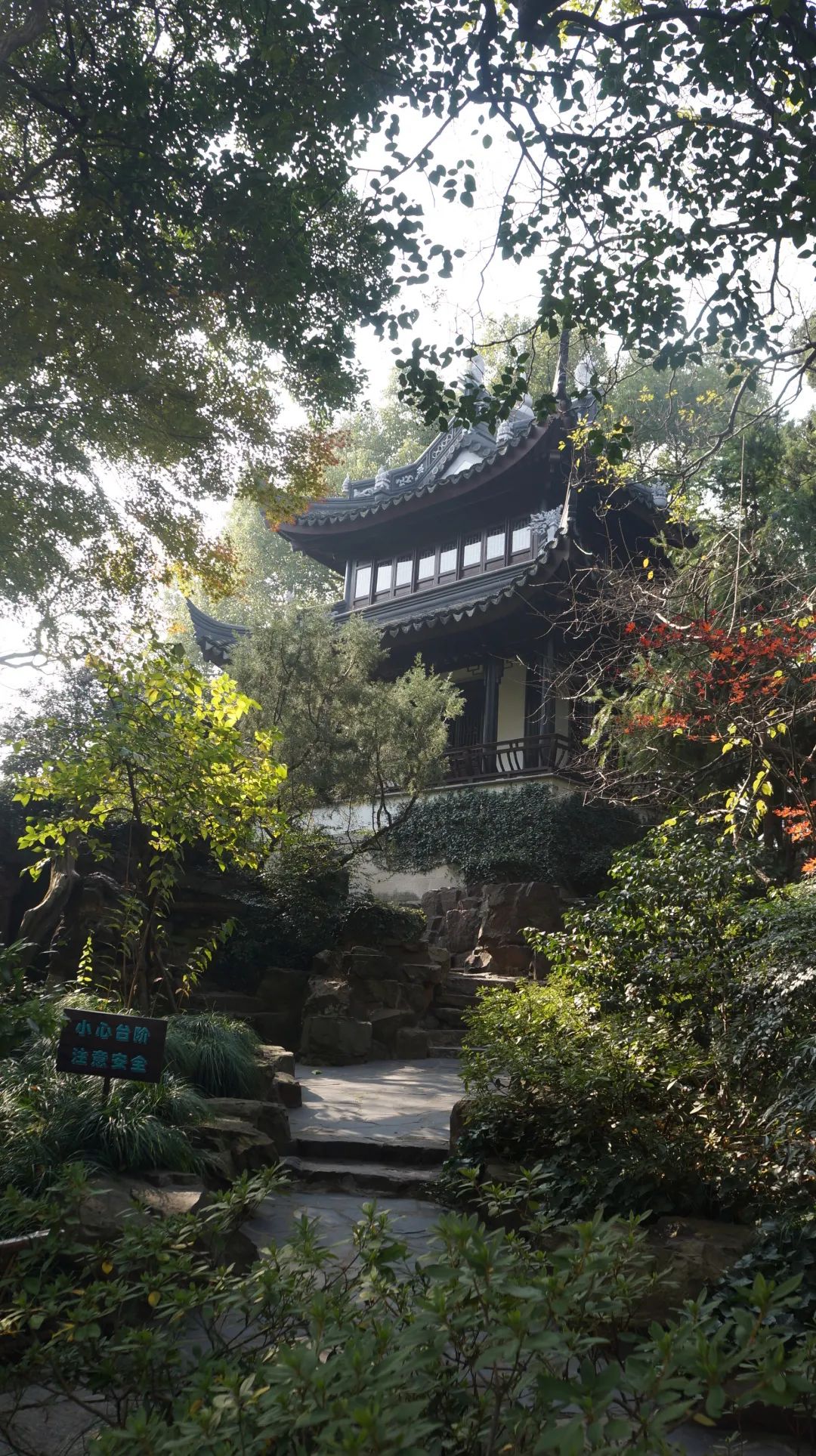 「建筑可阅读」亭台楼阁,叠石曲水这座小而精的园林内有一方天地