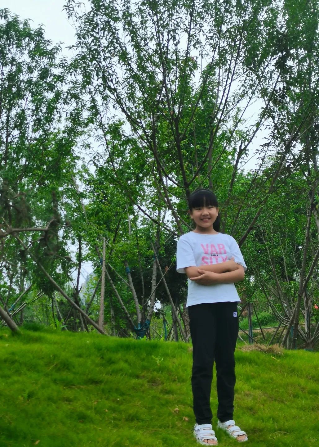 郑州市中原区秦岭路小学六四班甄妍:变