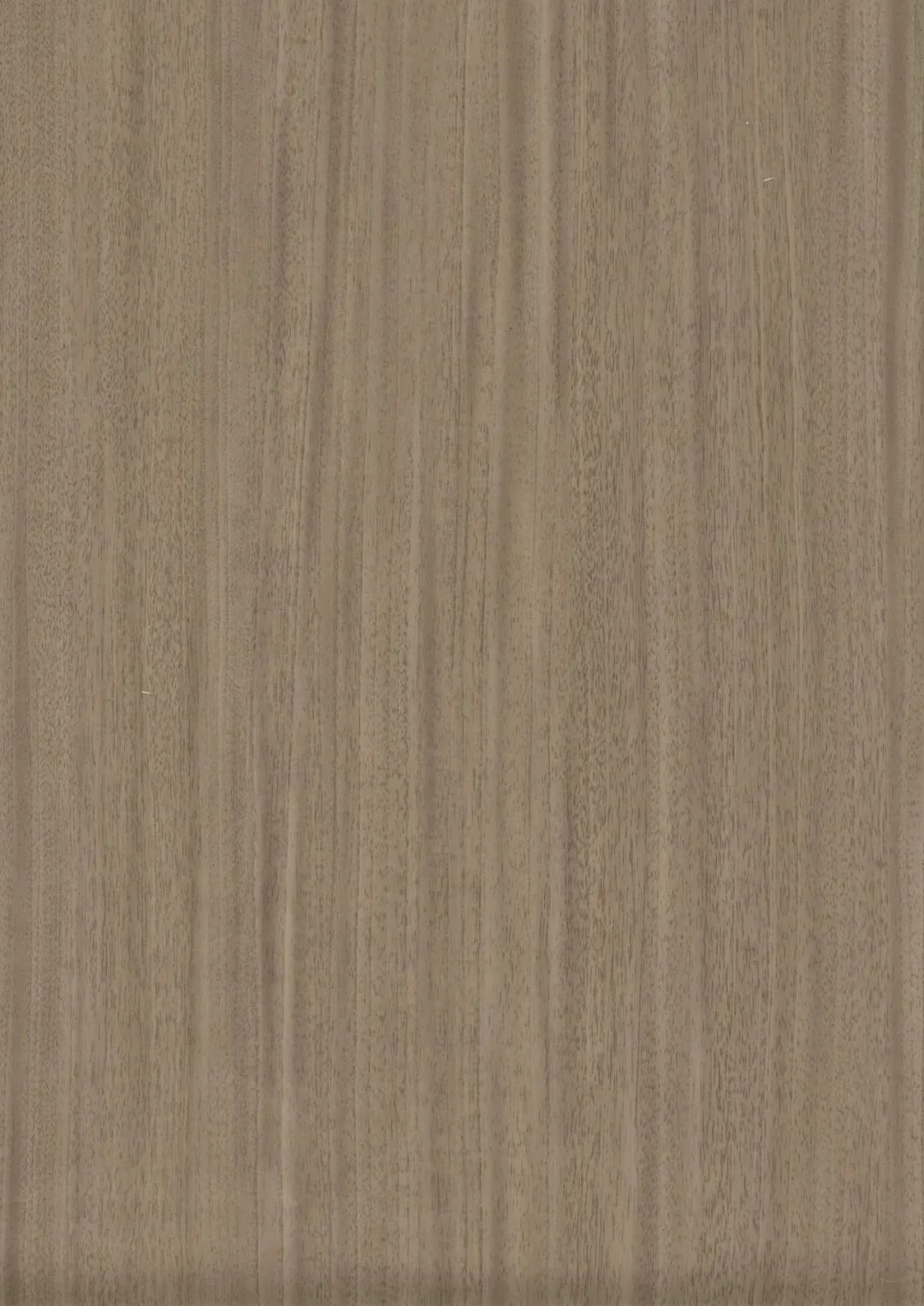 品择新品 | 回归自然木纹系列—红影木