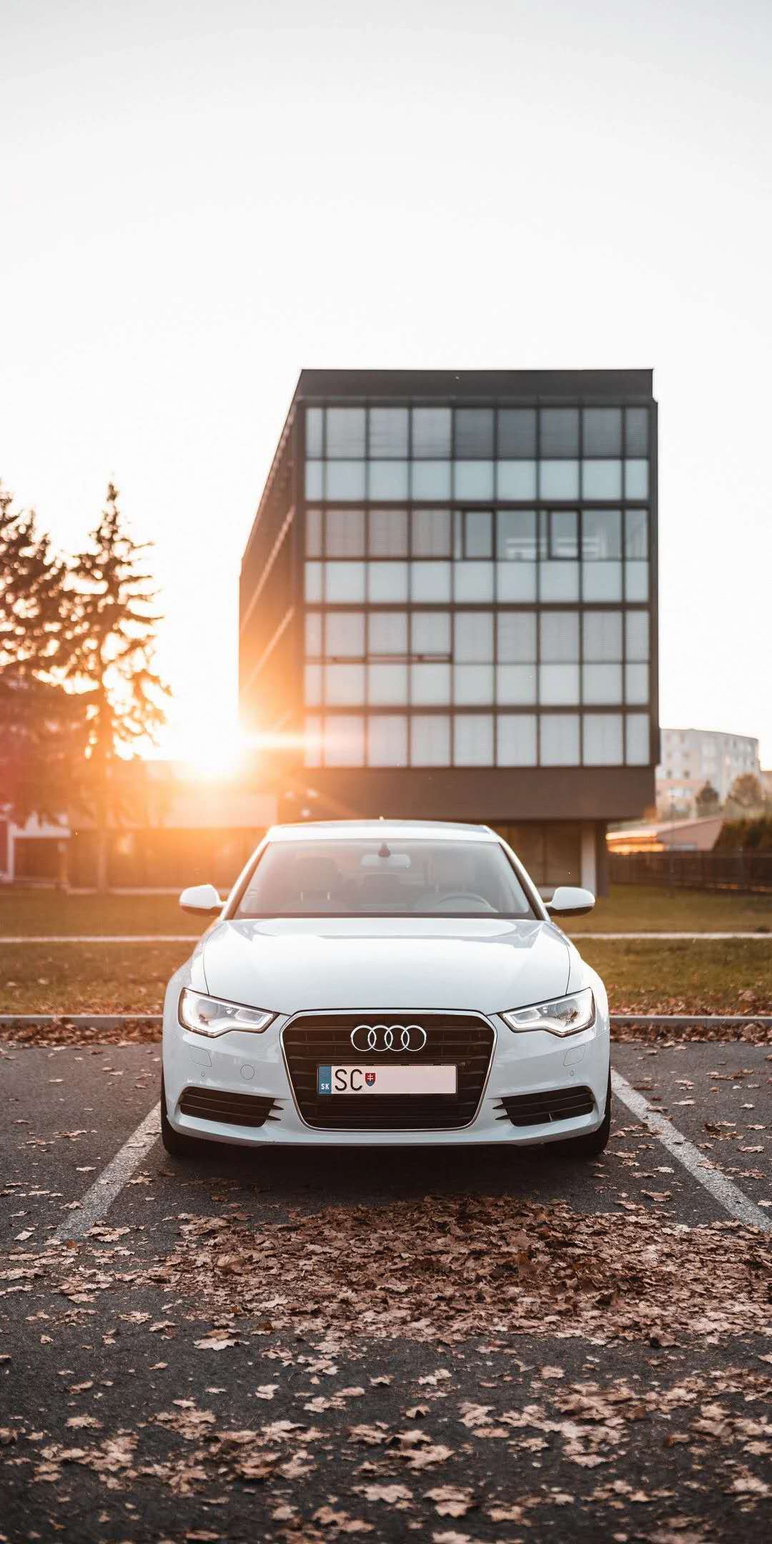 粉丝福利|高清奥迪壁纸送给你