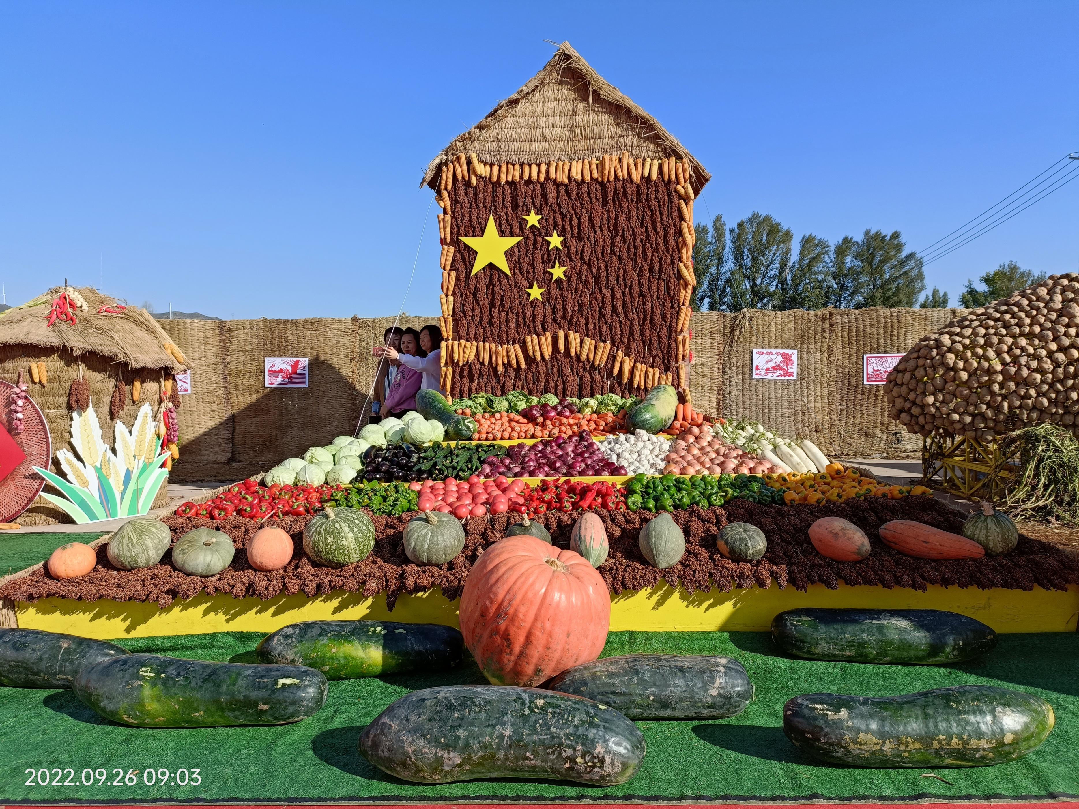 秋风送爽五谷飘香平鲁区2022年农民丰收节顺利举办