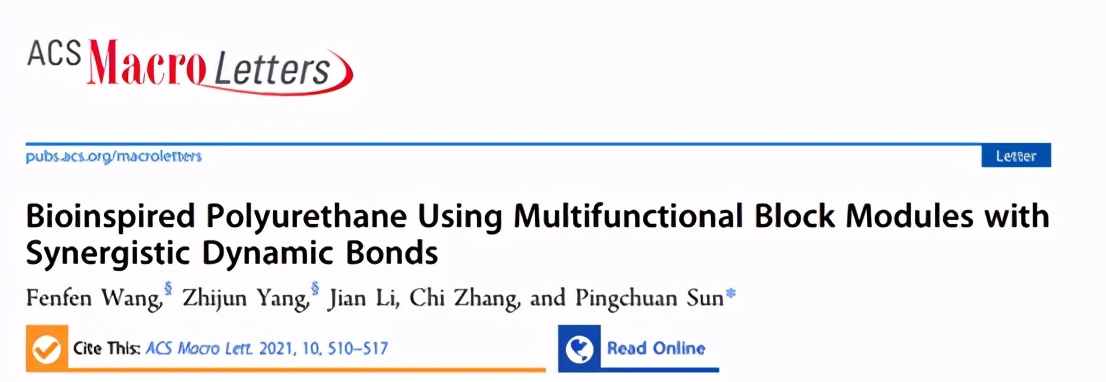 南开大学孙平川:聚氨酯具有带有协同动态键的多功能嵌段模块