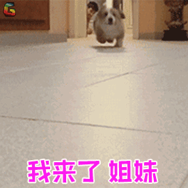 姐妹们,心心又来了!