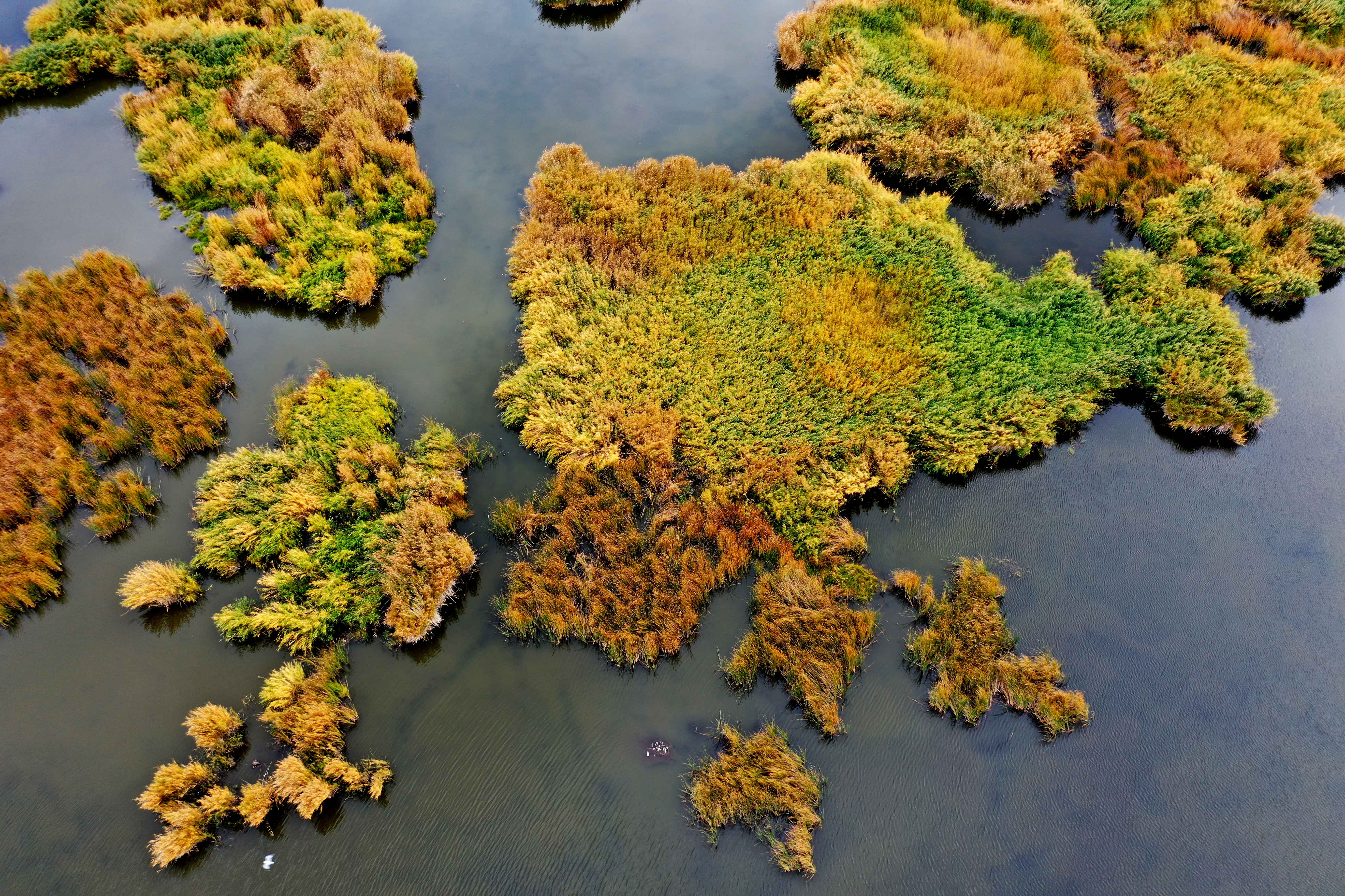 金秋时节 可可托海美景如画