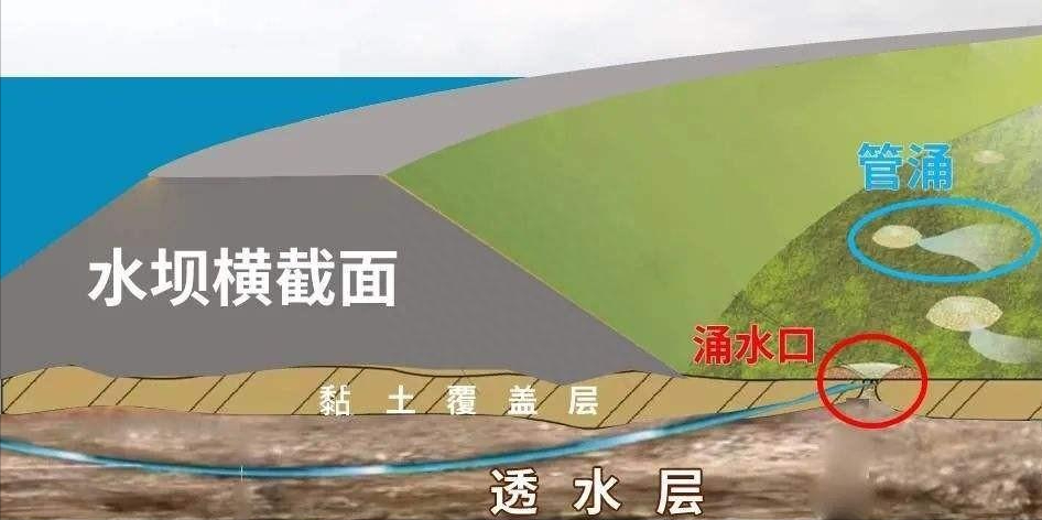 撸铁棒再现!月入上万却被明令禁止,这种行为有怎样的危害?