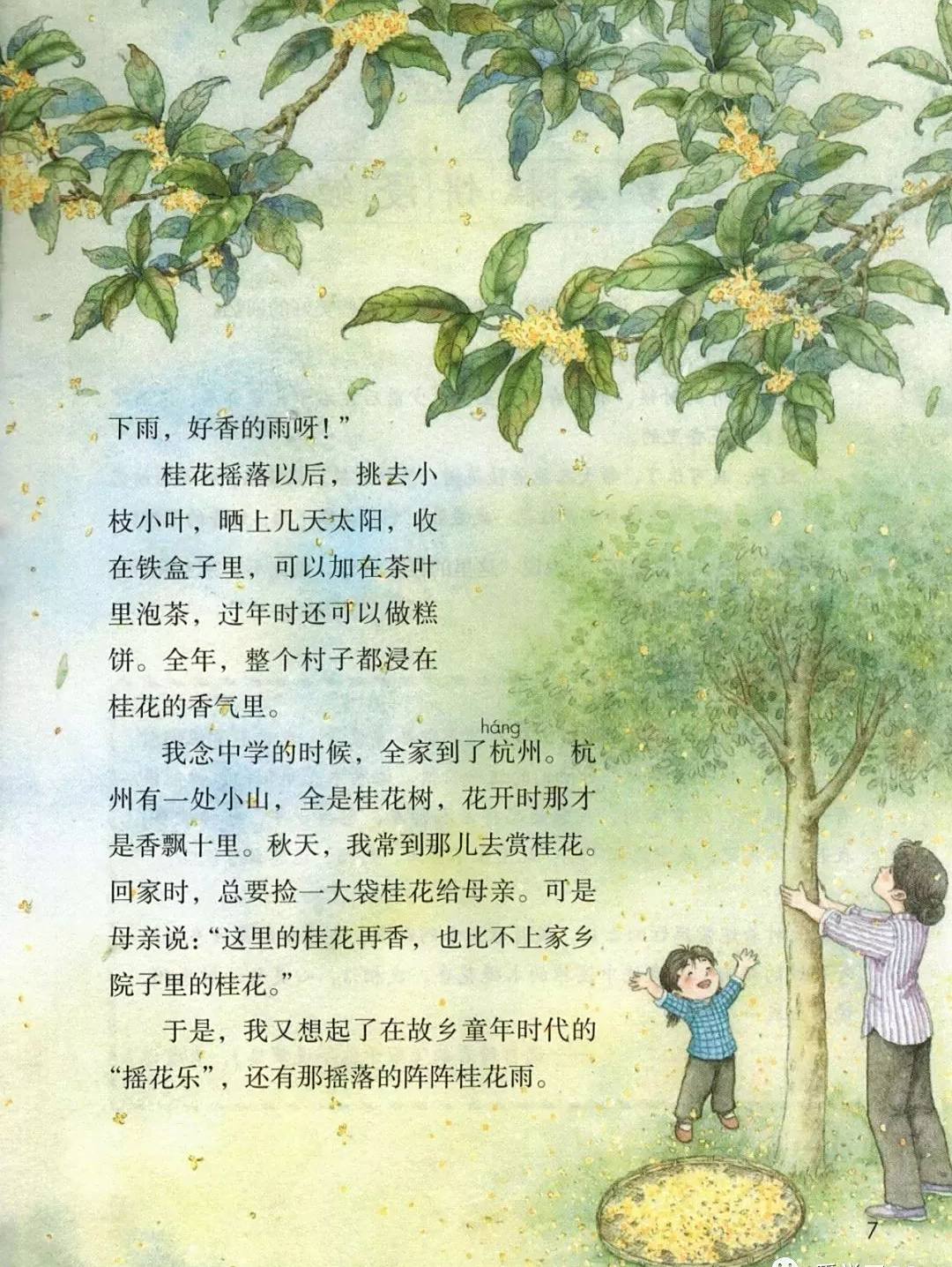 颜建国:润物无声桂花雨—琦君散文入选小学语文教材的三个理由