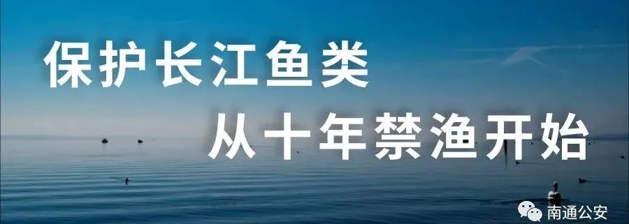 坚决落实长江"十年禁渔"重大任务!