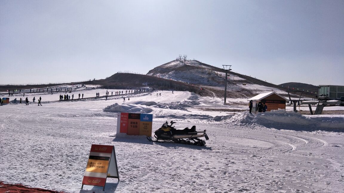 青岛丁字湾金山滑雪场图片