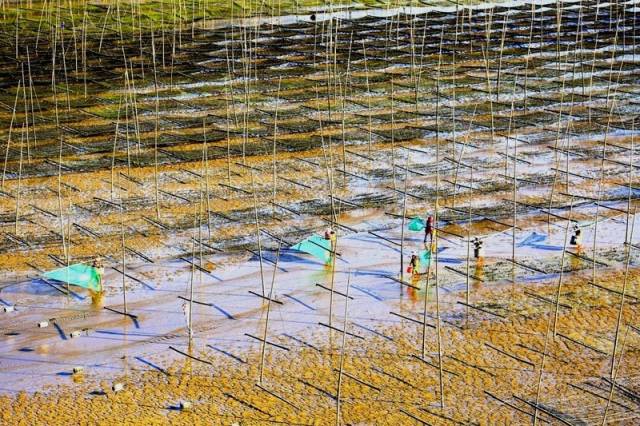 四季潮汐,天光雲影……福建霞浦夢幻般的