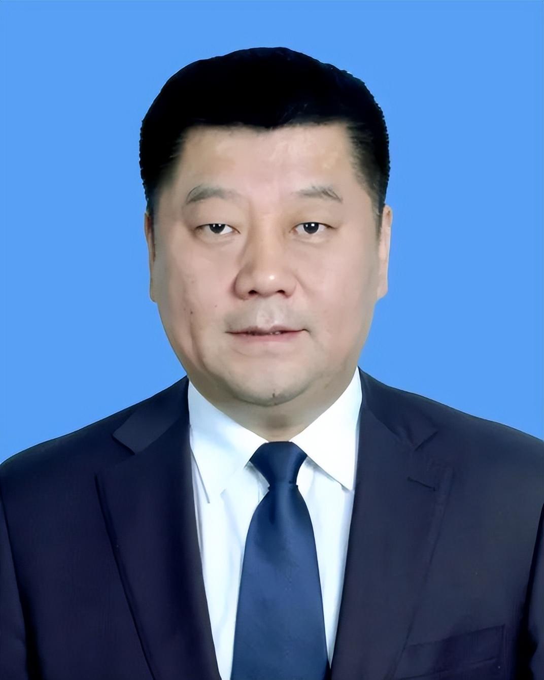 林海峰任长春市副市长,市公安局局长