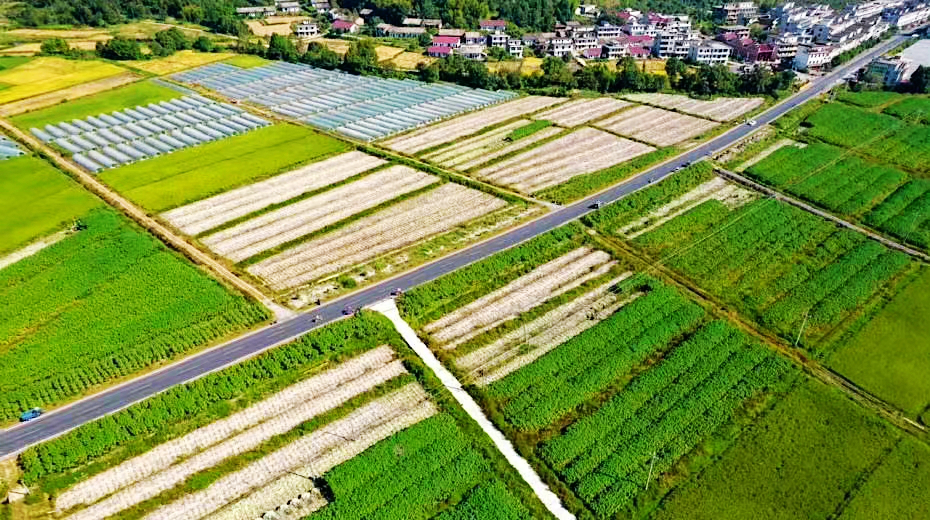 在夏布之乡江西双林,可近距离感受这一非遗技艺