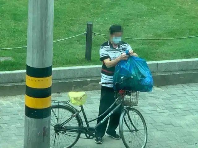 大马路上几百棵花,一夜之间被挖空,猖狂的偷花贼!