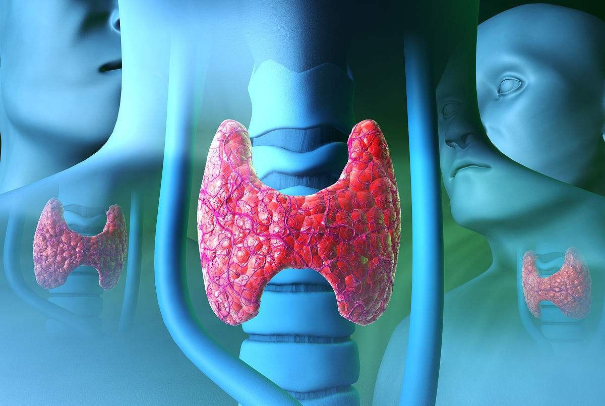 原发性甲状旁腺功能亢进症,可能与遗传有关,发病部位是甲状旁腺