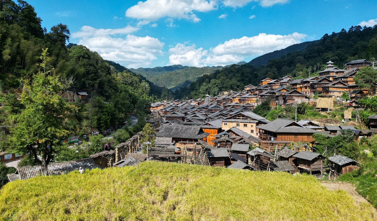 金秋时节的从江县高增乡占里村呈现出一派令人陶醉的美景