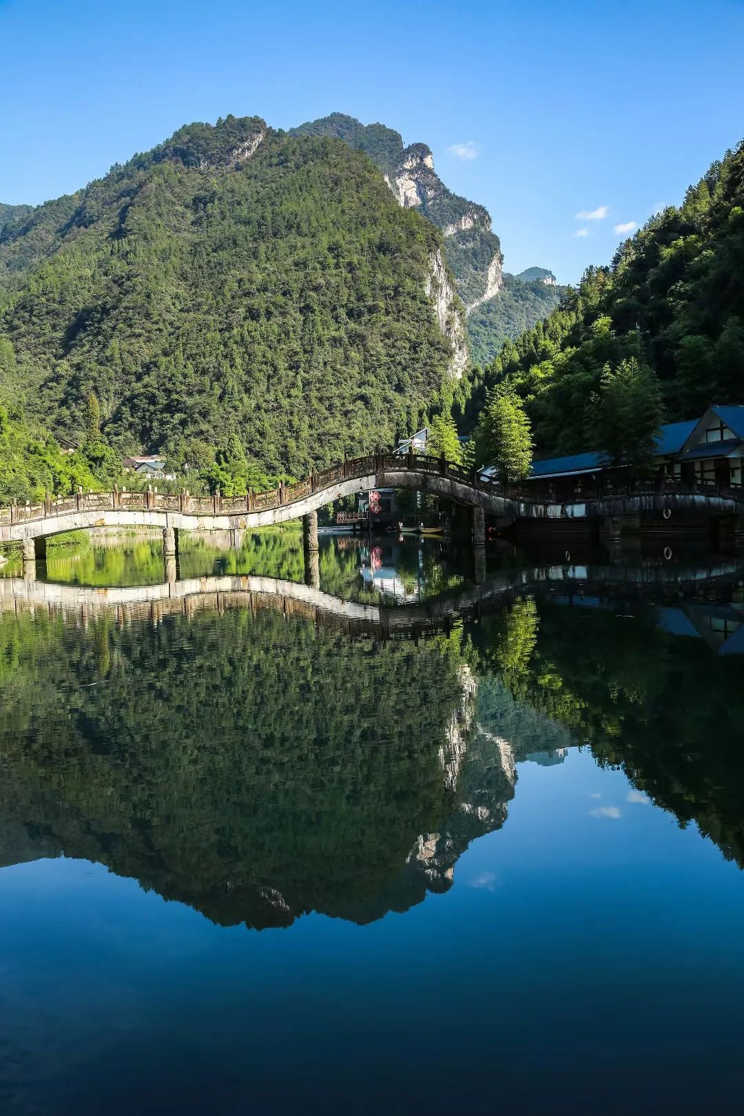 永嘉竹海图片