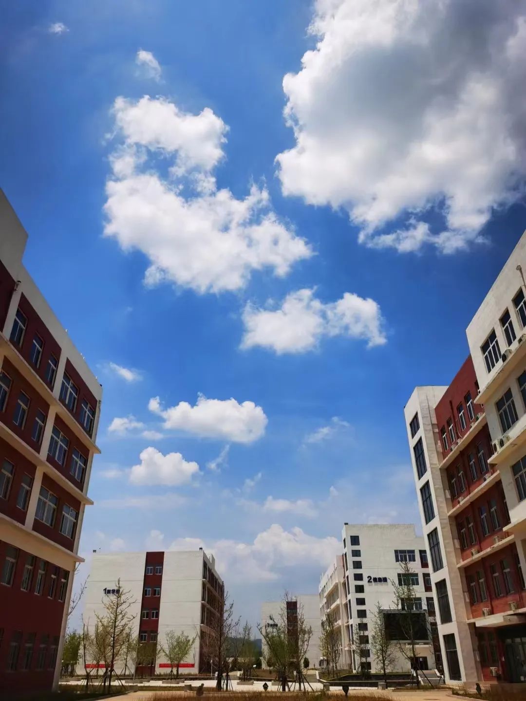 郑州卫生健康职业学院招生专属信息