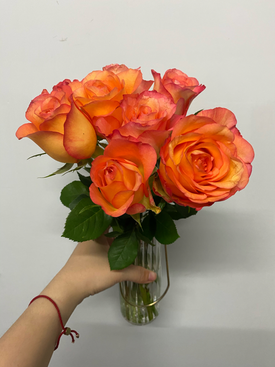 红边橙色的金辉玫瑰是一种独具特色的品种 金辉玫瑰的花语是快乐,俏皮