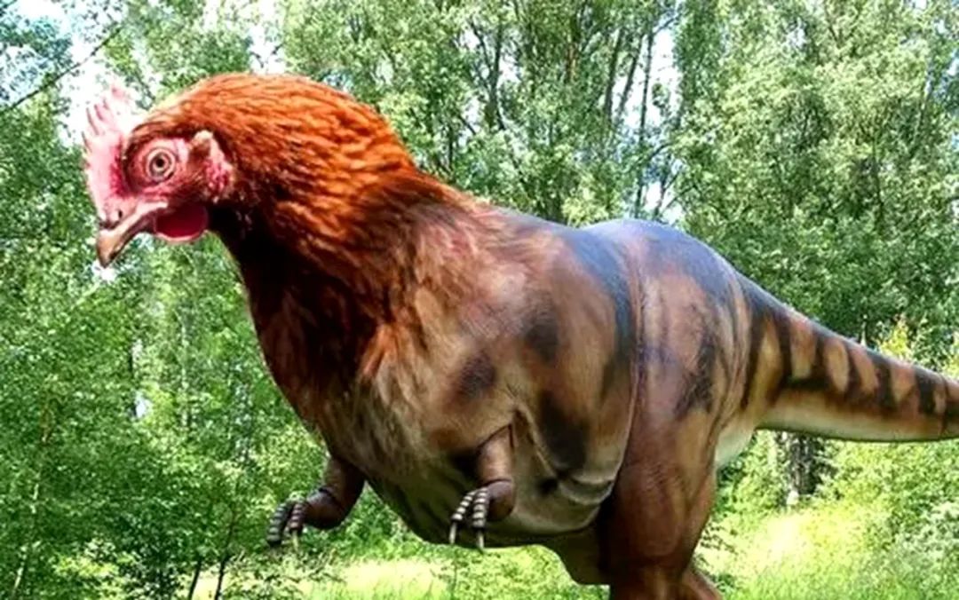 管理实践中的"返祖现象"