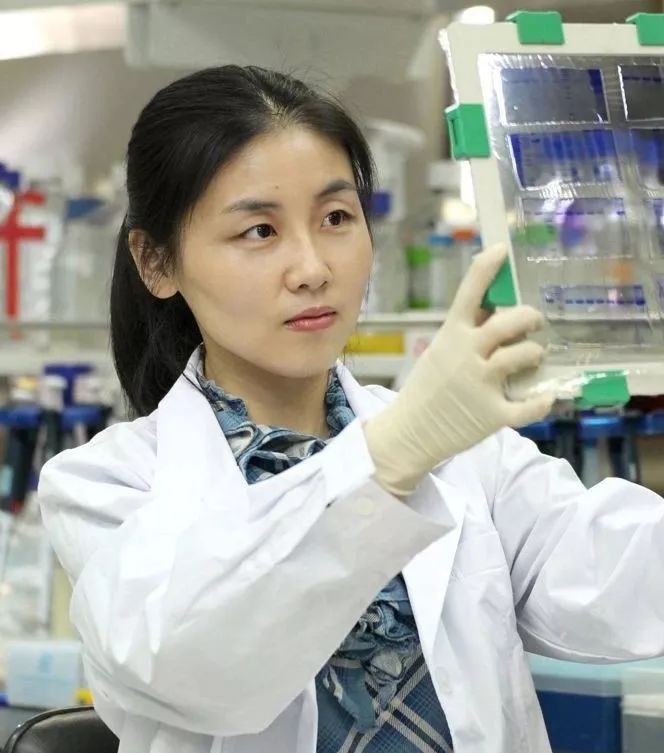 北京大学的年轻教授史蛟,在美国留学8年,回国成为精英学者