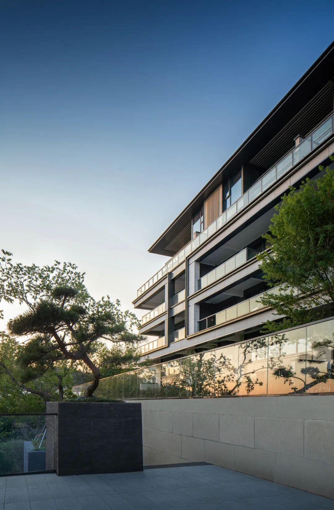 半山·森居·隐境——江苏句容金科·观天下|蓝海景观