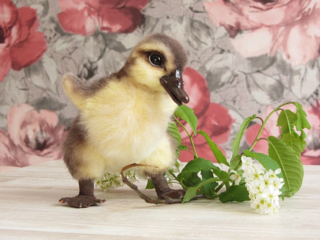 小鹅苗养殖大揭秘!