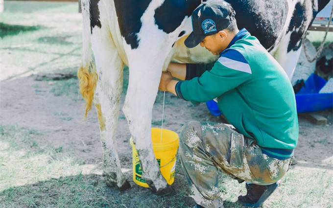 这3种牛奶,营养不足还损害身体,家长要给孩子少喝或不喝