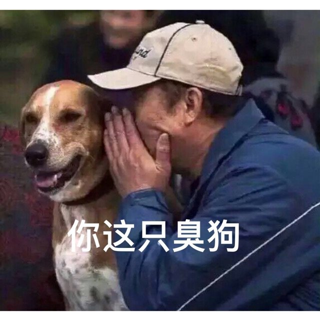 土狗骂人表情包图片